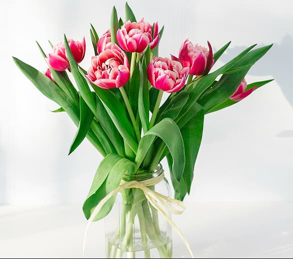 Bouquet of flowers